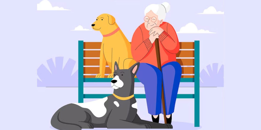 The Power of Companionship Are Pets Good For Emotional Support